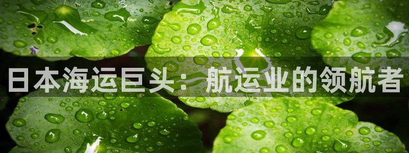 欢迎您来到公海
