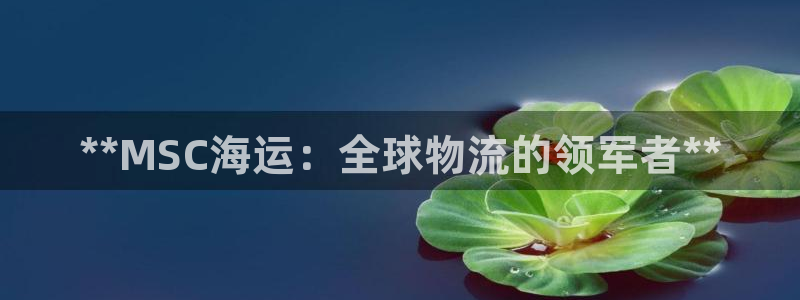 公海赌博是什么意思