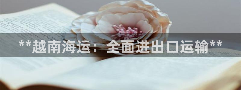 欢迎你来到公主的海岛