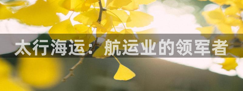 公海赌赌船官网710忘记账号了