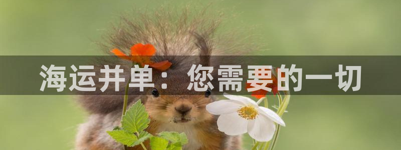 公海赌船怎么样