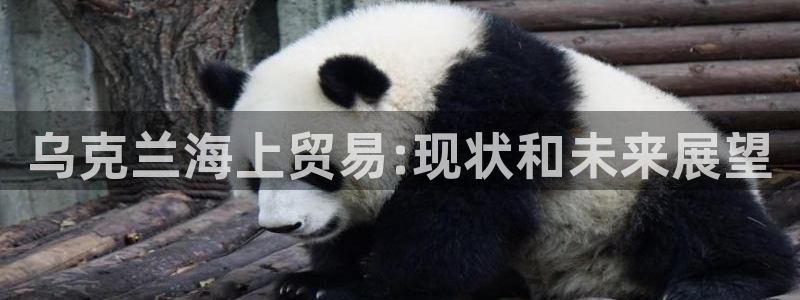 欢迎你来到公海赌