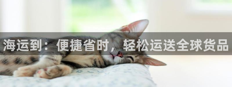 公海欢迎来到赌船