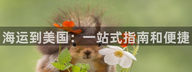 欢迎你来到公主的海岛