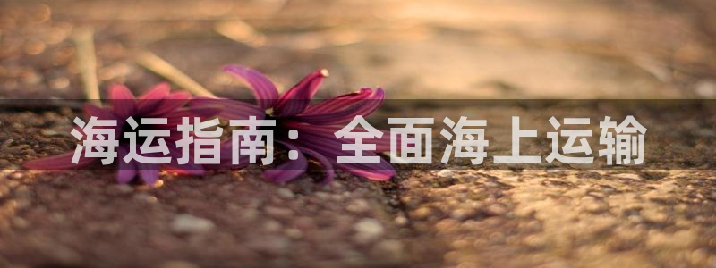 公海赌赌船官网图标