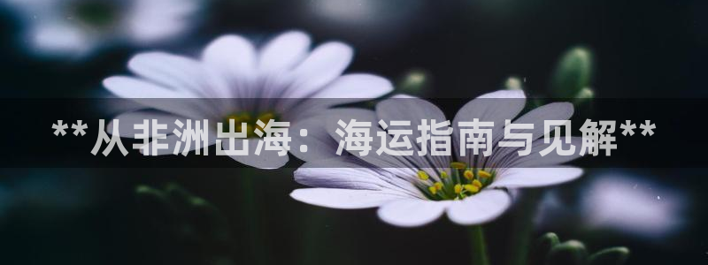 公海赌钱
