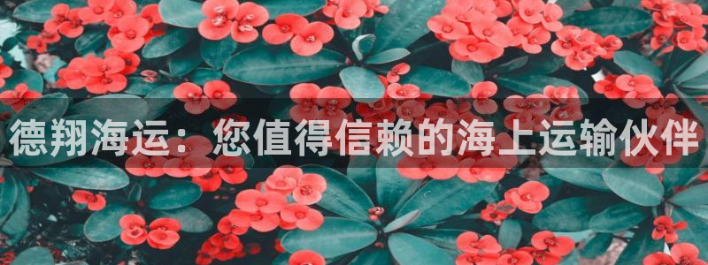 欢迎来到公海欢迎来到
