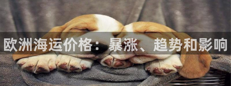 欢迎来到公海710线路是多少