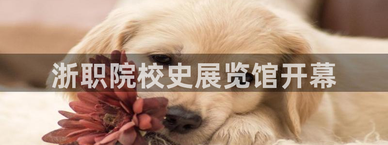 欢迎来到海牛星简谱