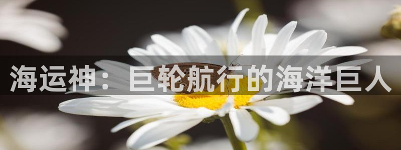 公海赌赌船官网