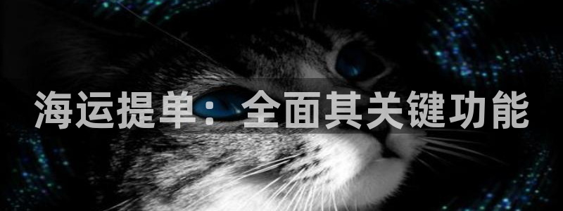 公海赌赌船最新版本更新内容