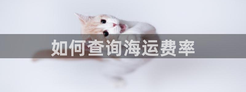 欢迎公海赌710