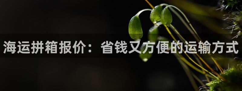 公海赌钱算合法收益吗