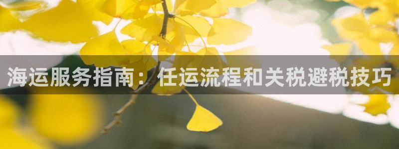 公海赌博怎么处理