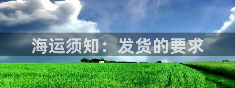 公海赌赌船官网图标