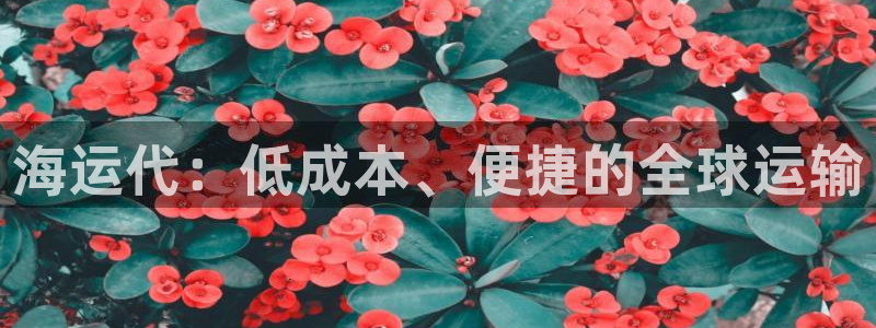 欢迎来到公海710线路是多少