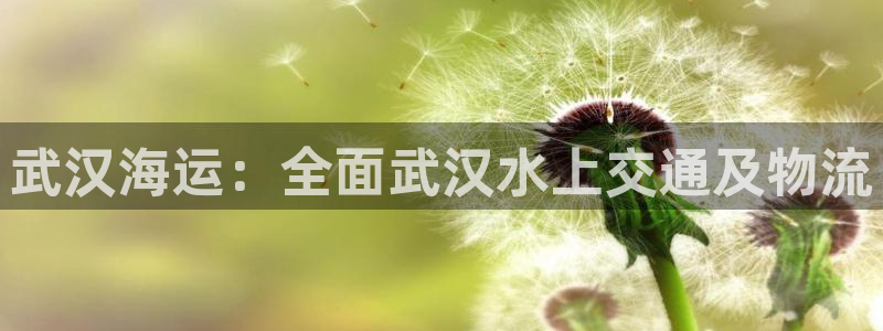 欢迎来到海牛星简谱
