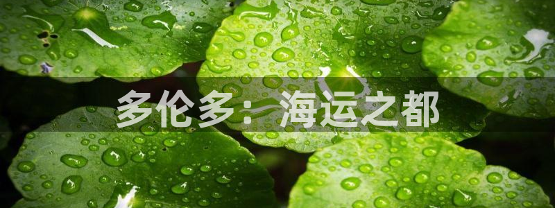 欢迎您来到公海