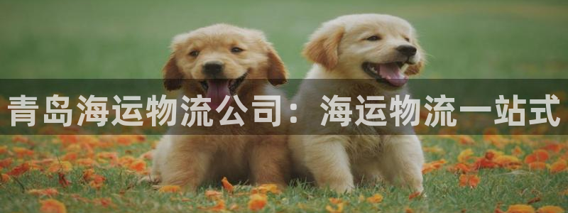 公海赌赌船官网jc7