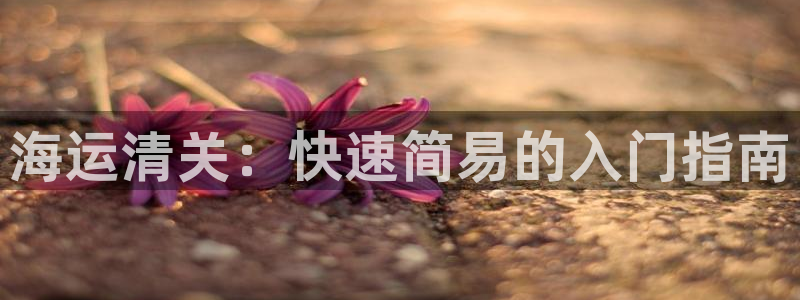 公海赌博为什么不犯法