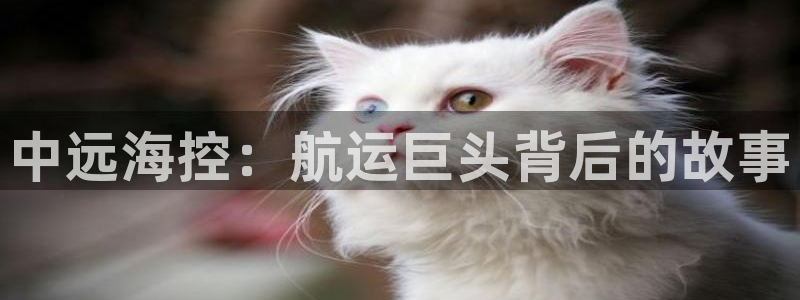 欢迎来到公海手机版710