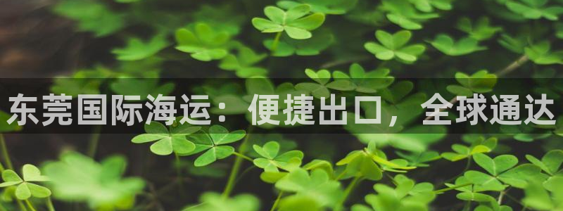 公海欢迎来到赌船710